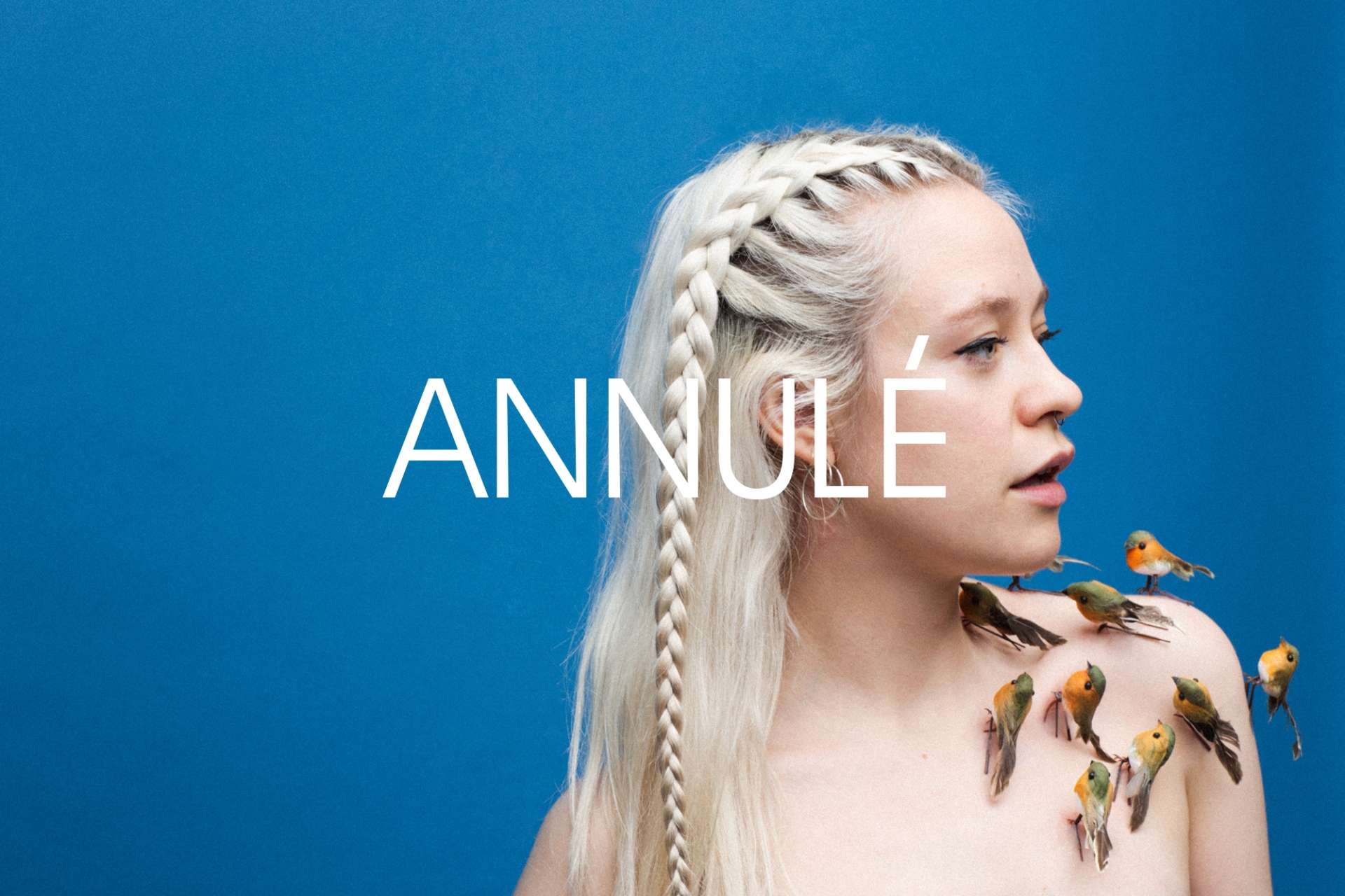 ABS-annule