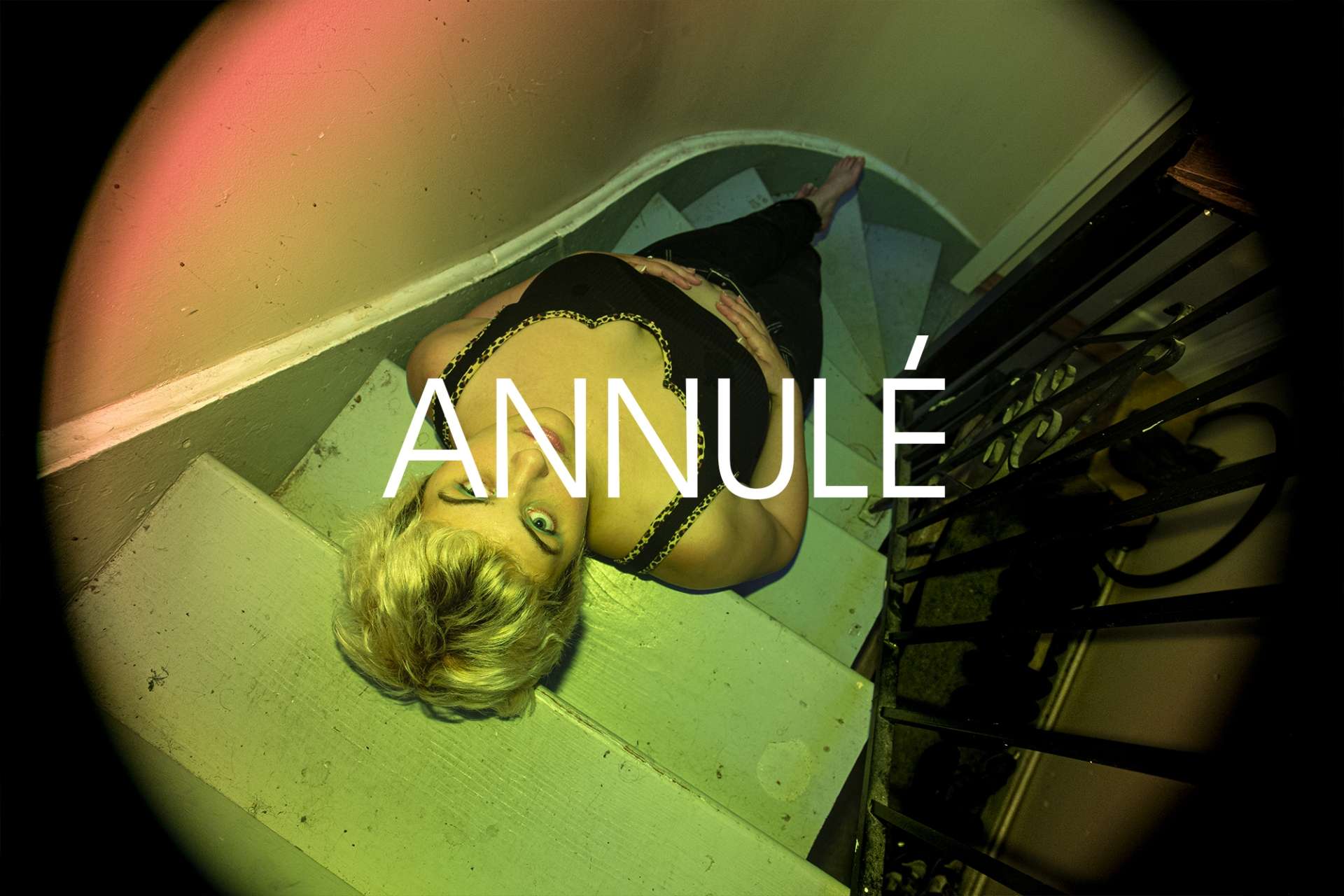 lily-annule