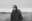 ANDY SHAUF SITE INTERNET