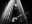 Forever-Pavot-web©Marion-Bornaz2