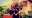 SOUL-JAZZ-SITE-INTERNET-FICHE-PROMO