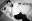 THE-WANTON-BISHOPS-SITE-INTERNET