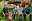 orchestre-site