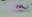 wall-of-death-site-internet